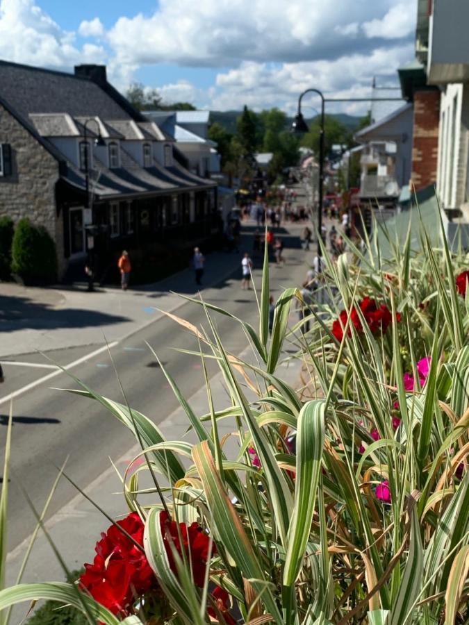 La Campagne Au Centre-Ville De Baie-Saint-Paul Unique Exterior photo